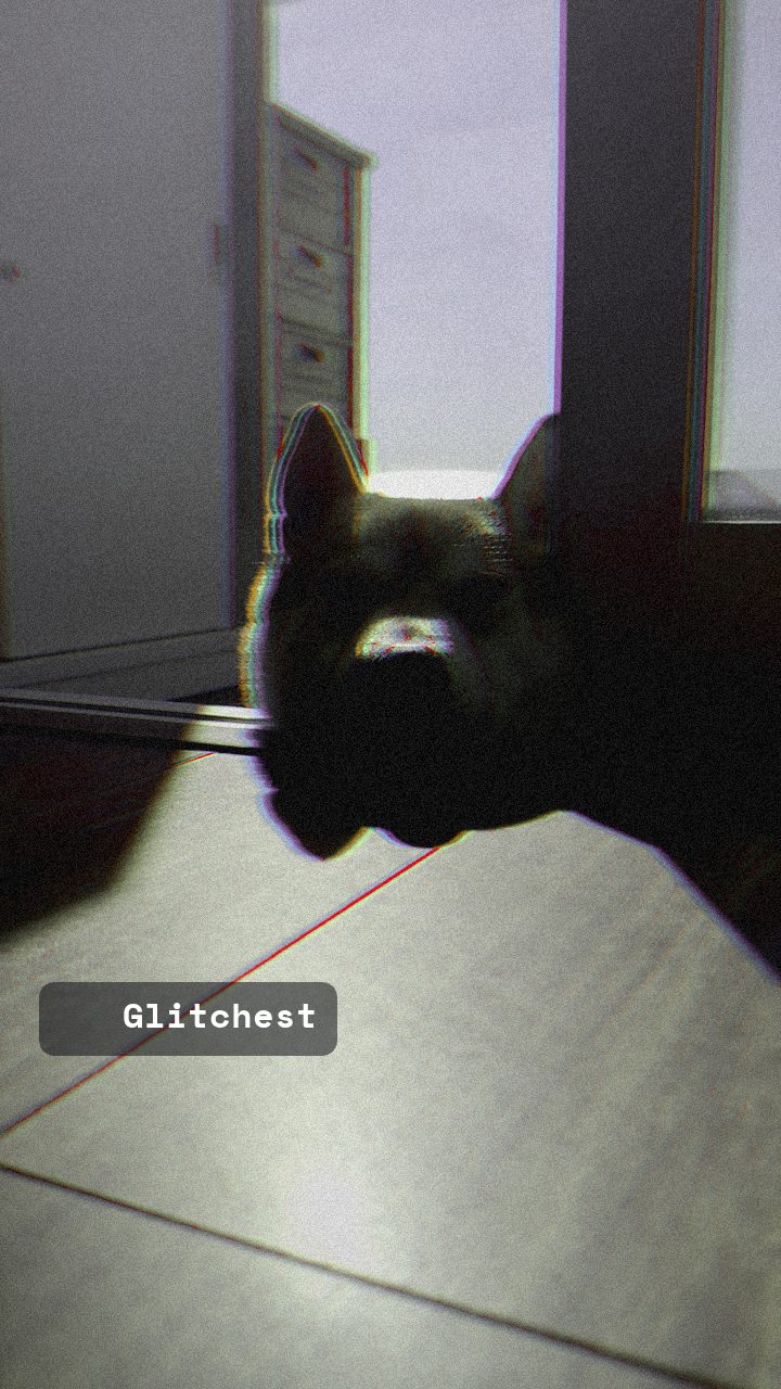 The Deep Fried Meme glitch look applied in Glitchest