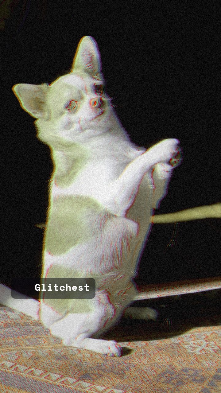 The Deep Fried Meme glitch look applied in Glitchest