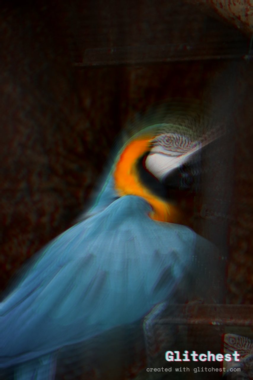 The Zoom Punch glitch look applied to a photo in Glitchest