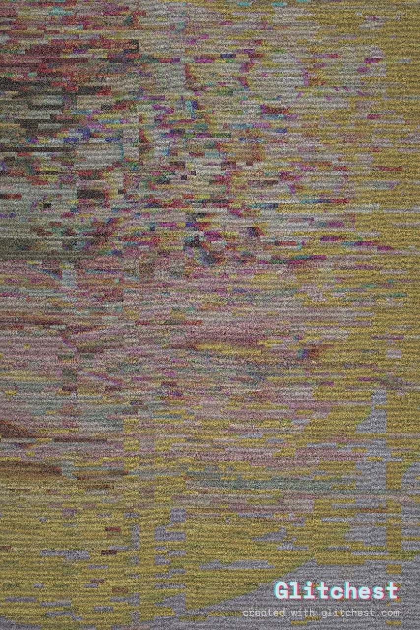 Signal Jam glitch effect applied to a photo in Glitchest