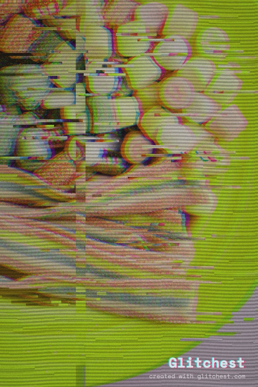 VHS glitch effect applied to a photo in Glitchest