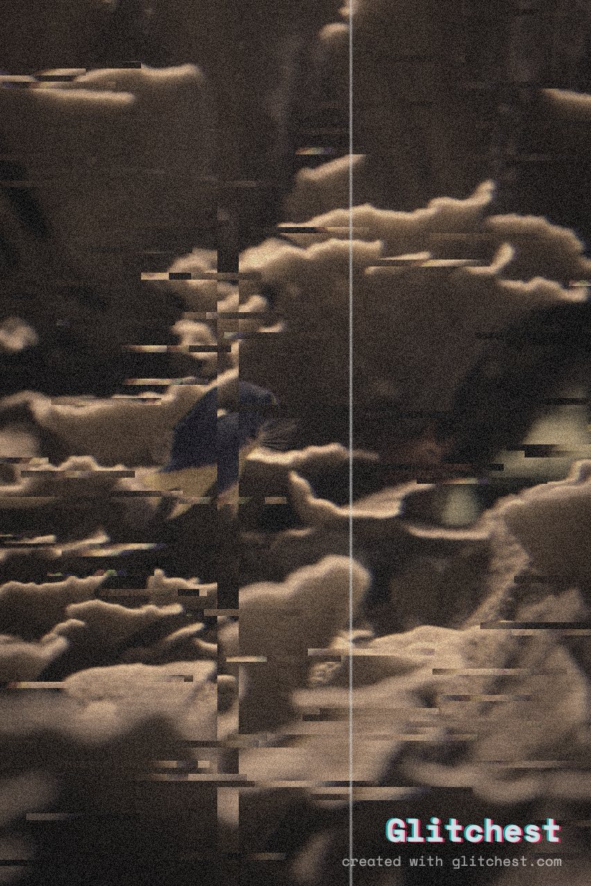 The Old Film glitch look applied to a photo in Glitchest