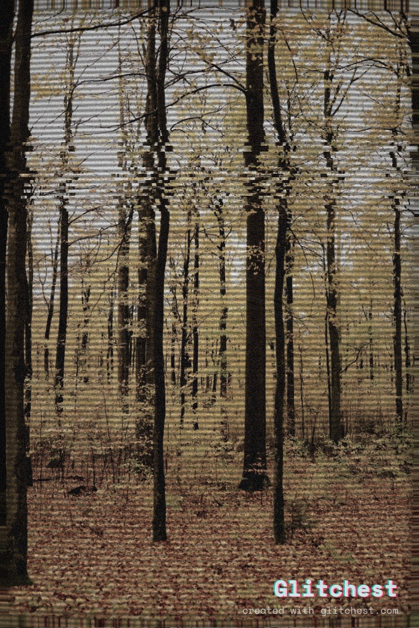 The Analog Horror glitch look applied to a photo in Glitchest