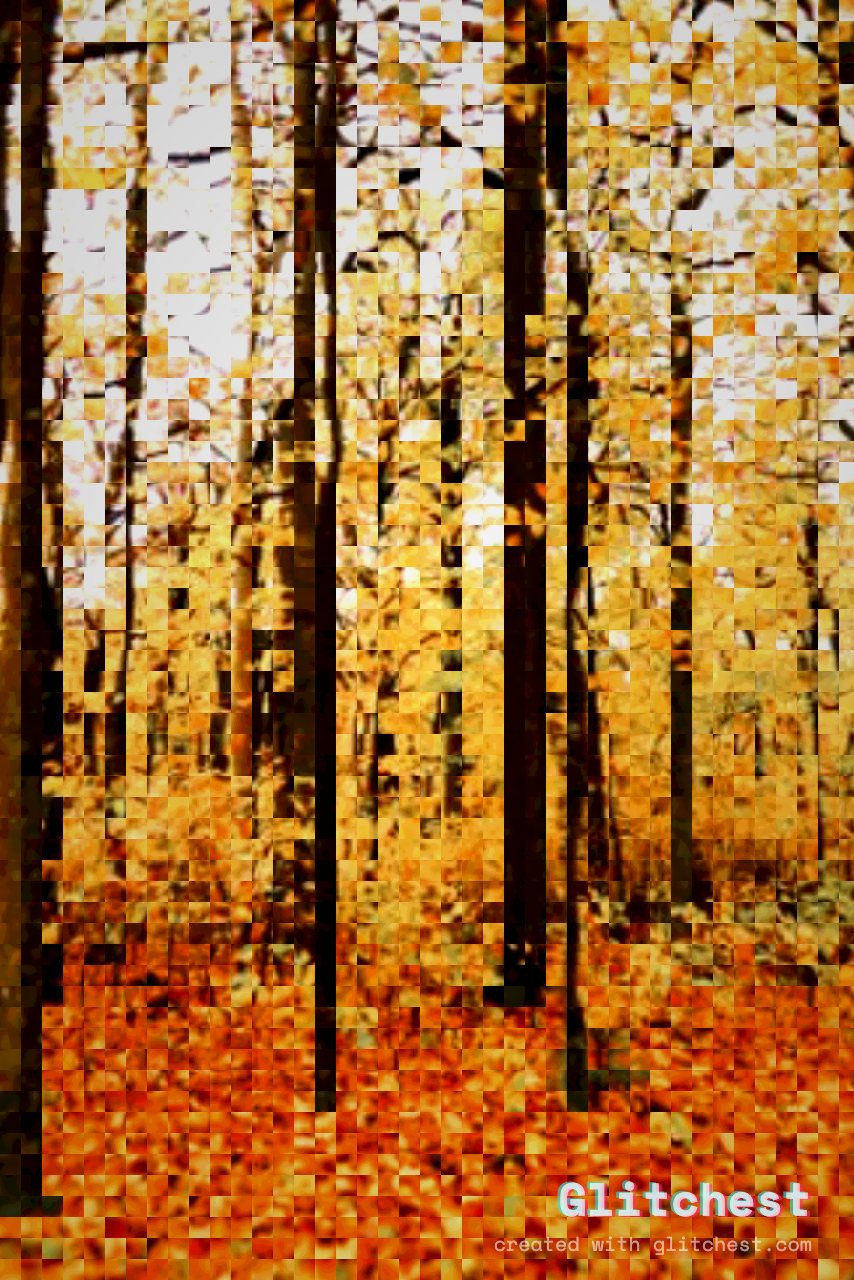 The Pixel Art glitch look applied to a photo in Glitchest