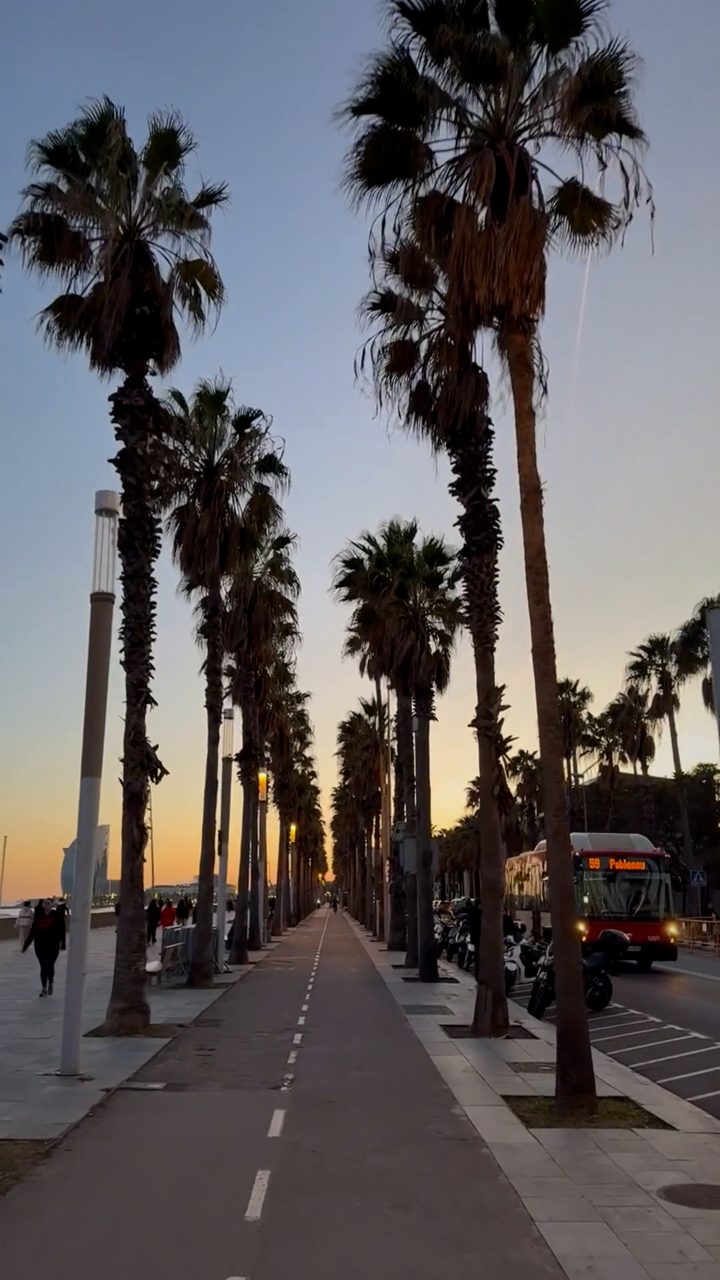 Original photo before the Vaporwave Sunset glitch look